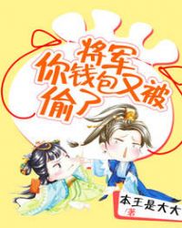 将军，你钱包又被偷了