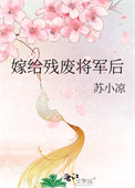 嫁给残废将军后